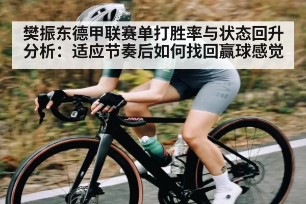 樊振东德甲联赛单打胜率与状态回升分析:适应节奏后如何找回赢球感觉
